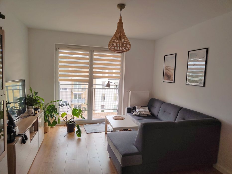 Mieszkanie 2 pokojowe rozkładowe 49 m2 Jagodno