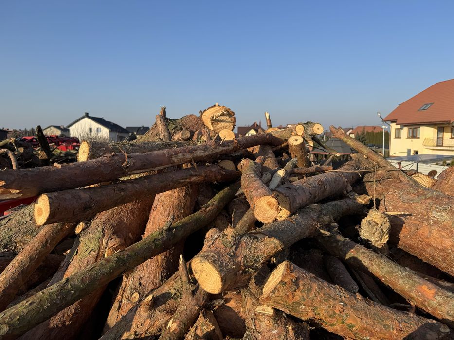 Drewno opałowe - iglaste i lisciaste - POCIĘTE lub metry