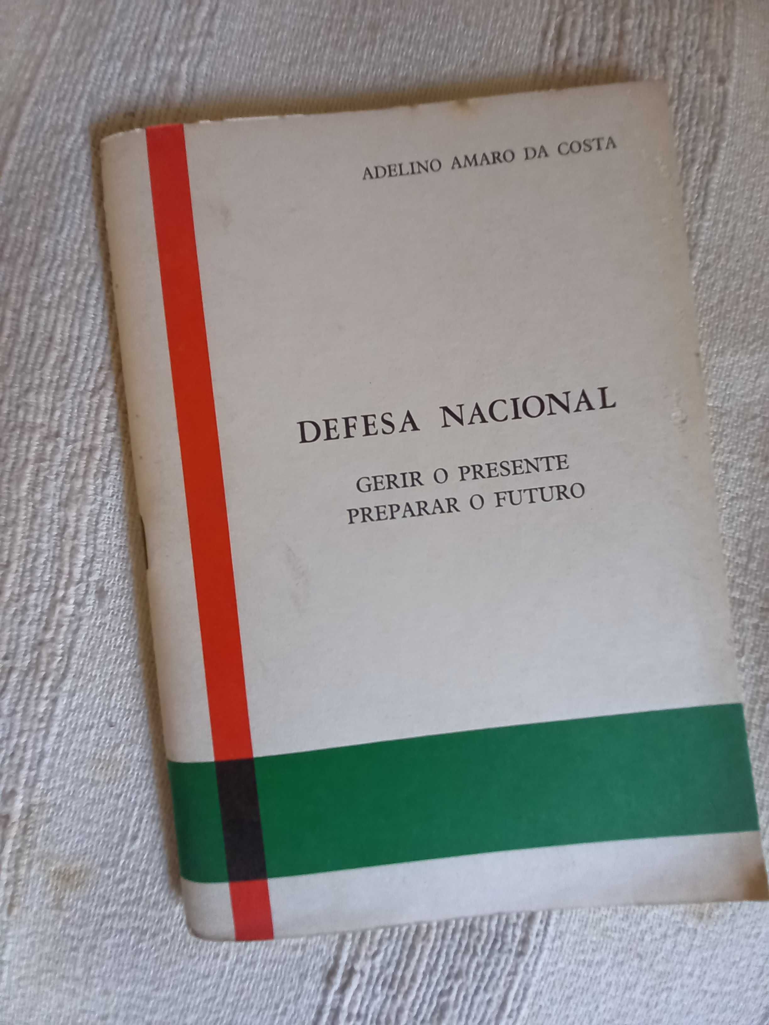 Intervenções políticas de Adelino Amaro da Costa