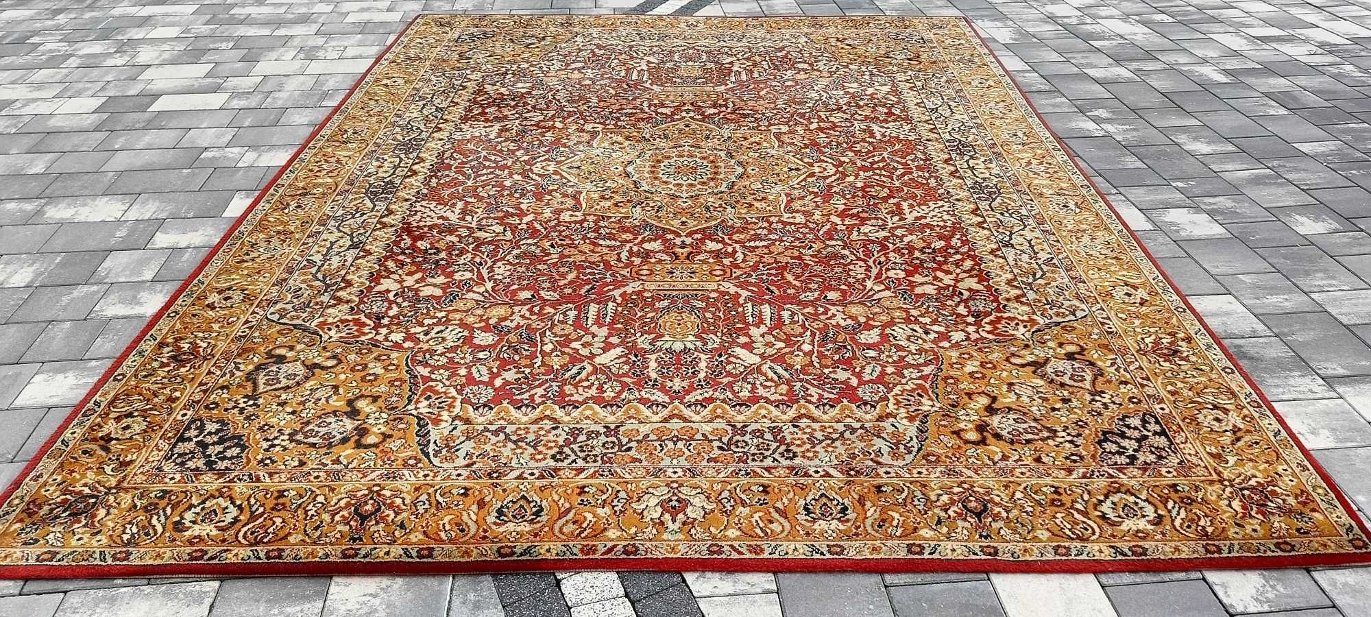 Cronwell Classica dywan wełniany piękny 350 x 250 cm wełna