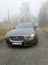 Jaguar XE Zadbany, piękny Jaguar XE z nowym rozrządem