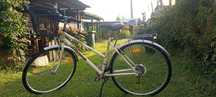 Rower Kross trekking