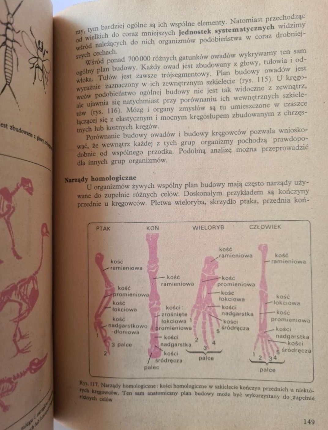 Biologia - Książka