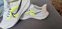 Nike Air Zoom Pegasus 39