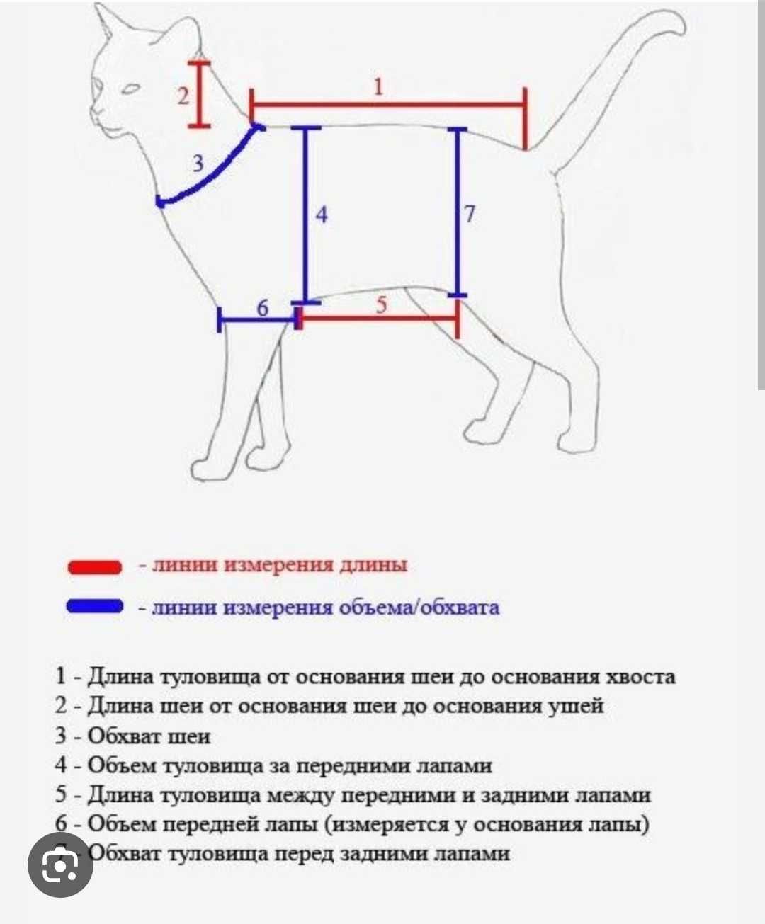 Костюм динозавра для котів та собак