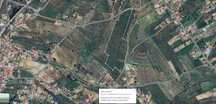 Arrendamento em Tomar (5 hectares) "painéis fotovoltaicos"