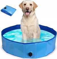 Rewelacyjny basen dla psa dziecka