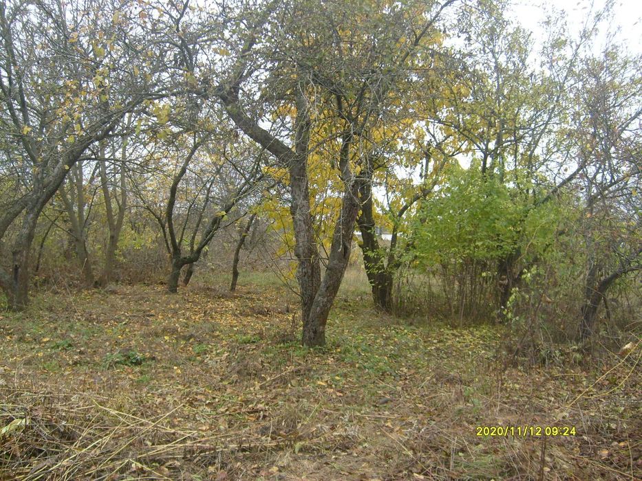 земельна ділянка 16,32 сот