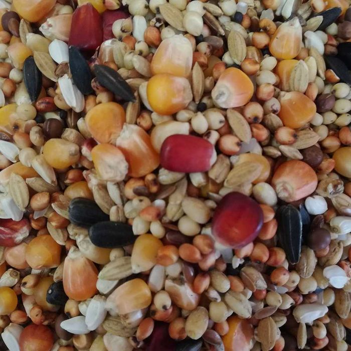 BEST NATURAL Karma dla Gołebi Lotowa Wdowiec 20 kg