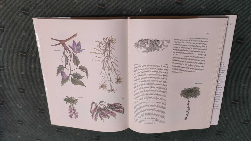 Jardins Fleuris 451 Ilustratiosn en Couleurs