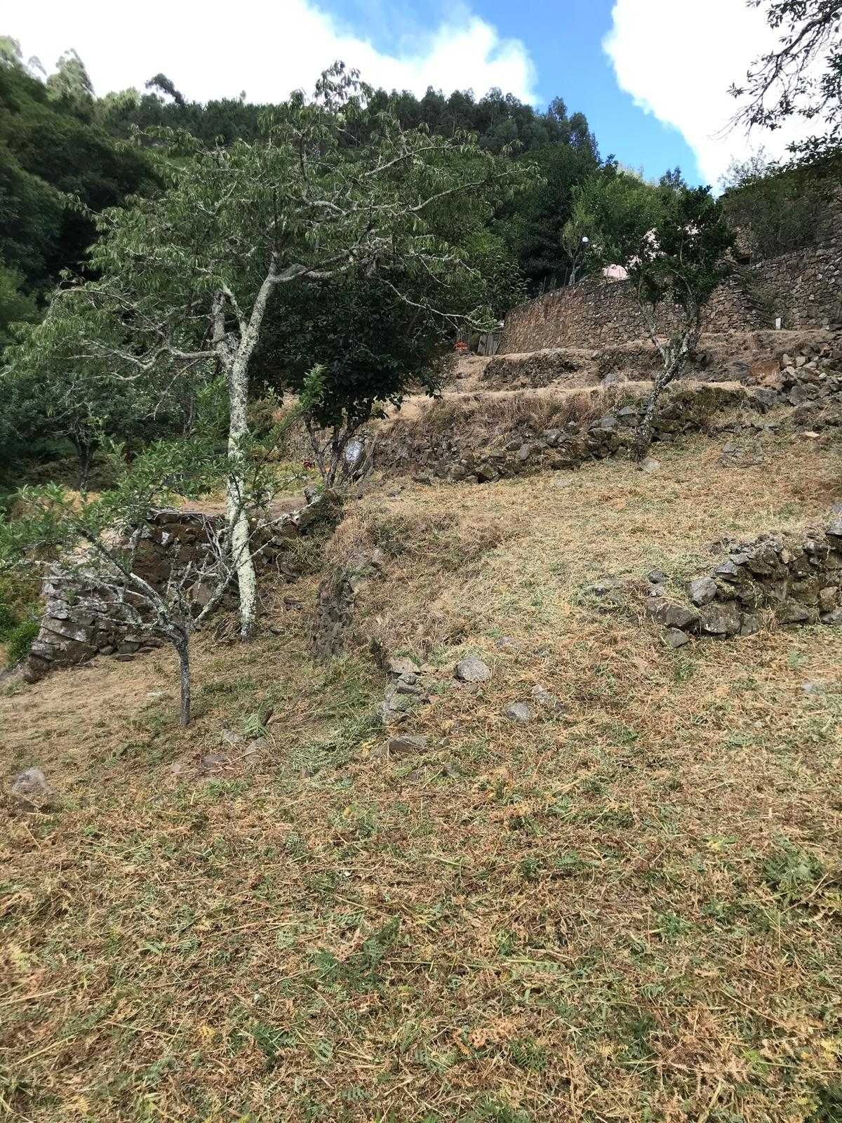 Limpeza de Terrenos