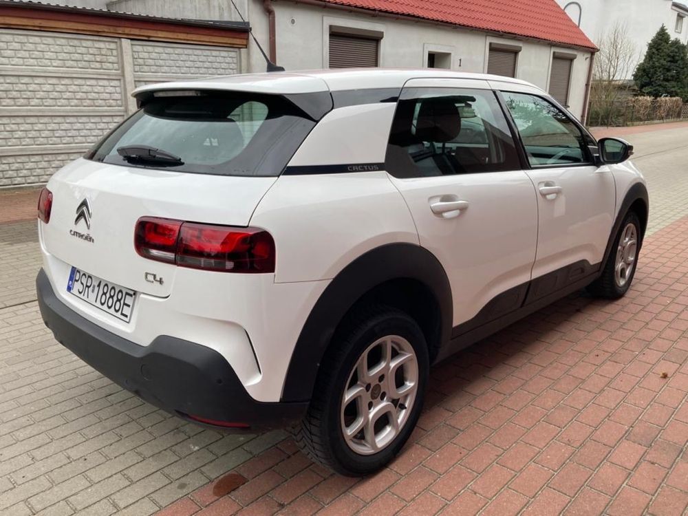 Citroen C4 Cactus 1,5 Blue HDI, 102KM, 2019r.