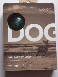 Orbiloc światełko LED do obroży dla psa -rózne odcienie*nowe*