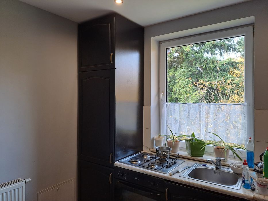 Wynajmę dom z podwórkiem