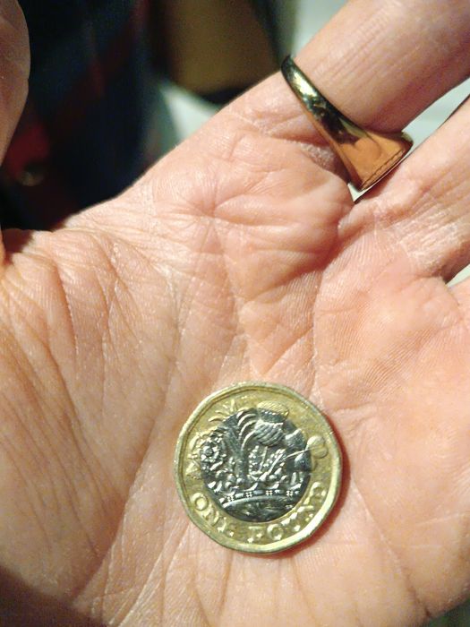 Moeda Rara Queen Elizabeth One Pound, ano 2017