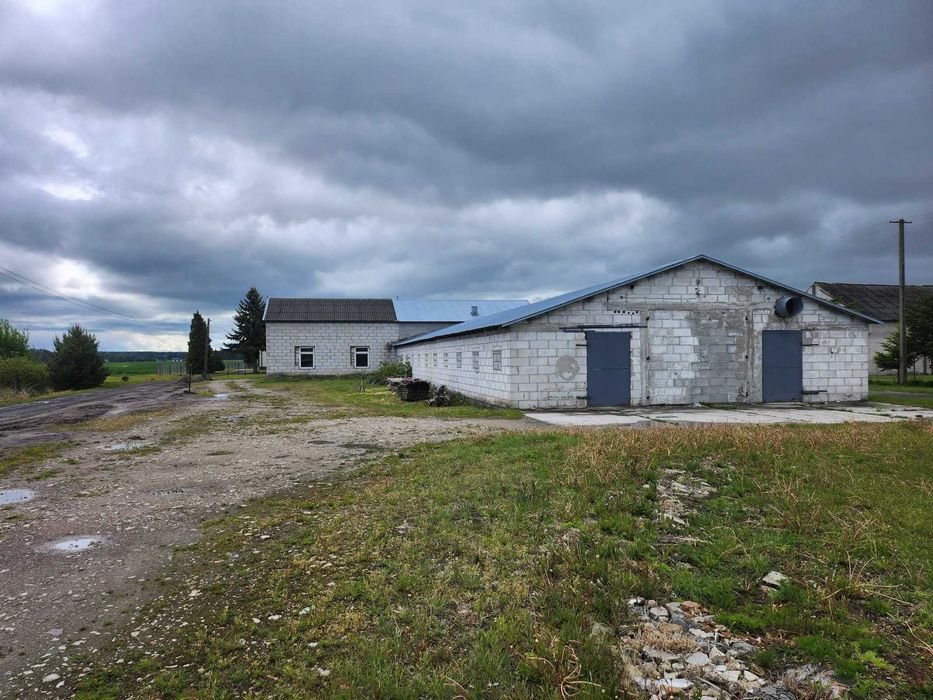 Wynajmę  halę-magazyn  500 m 2  Grubale k/Siedlec