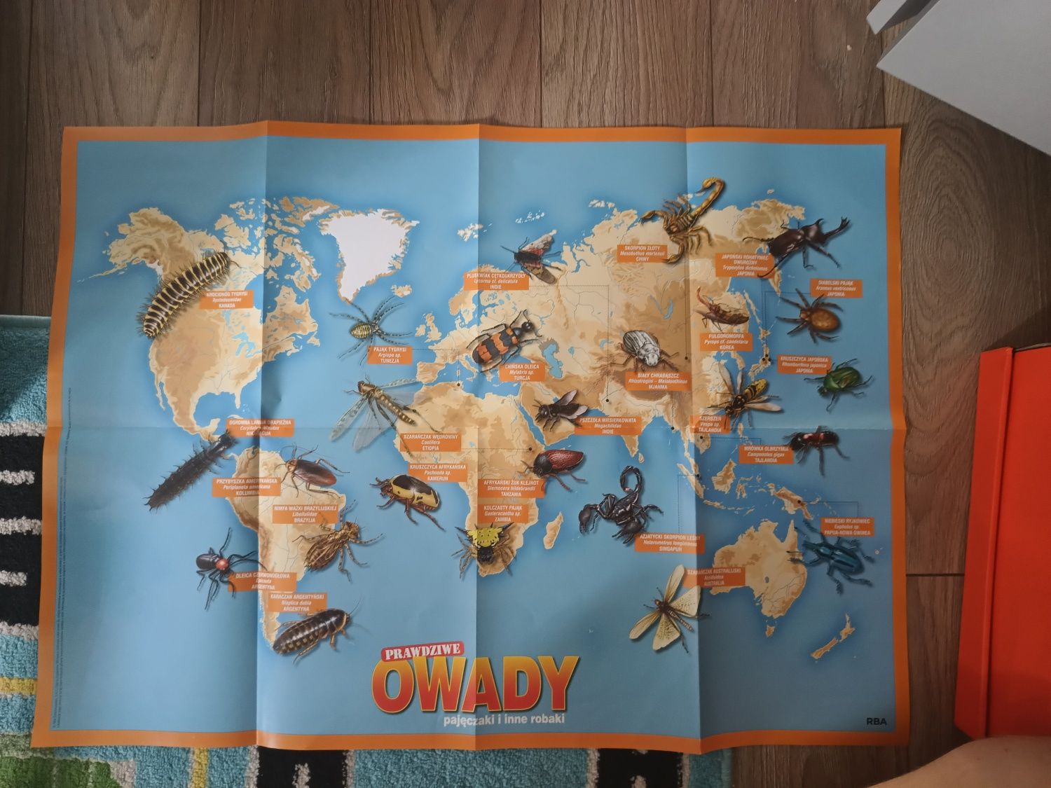 Owady z kolekcji "prawdziwe owady pajęczaki i inne robaki"