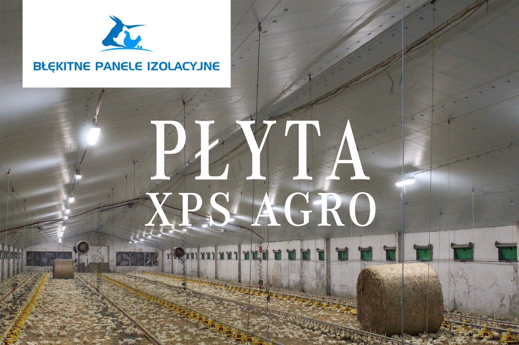 STYRODUR XPS AGRO Płyta Izolacja Thermo Termo Obornicka Nie Warstwowa