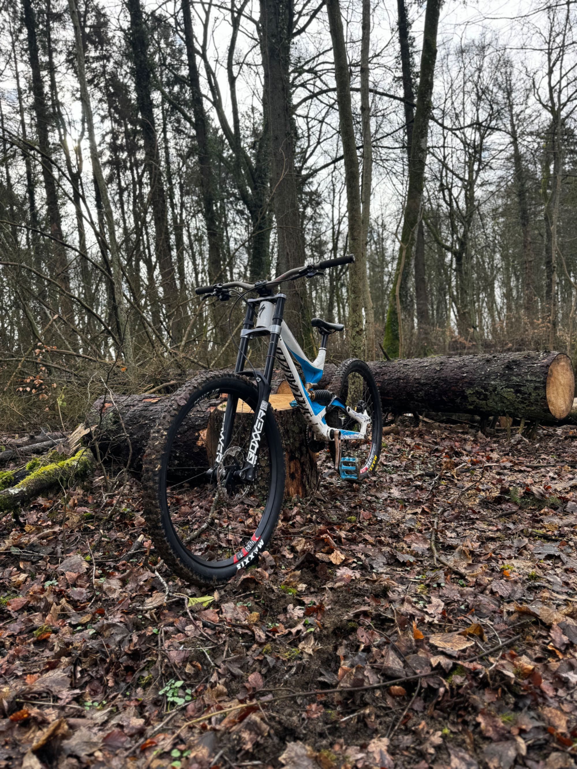 Specialized Demo 17’ Mullet