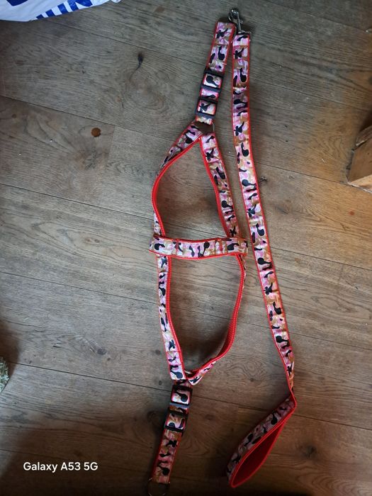 Szelki i smycz do dużego psa