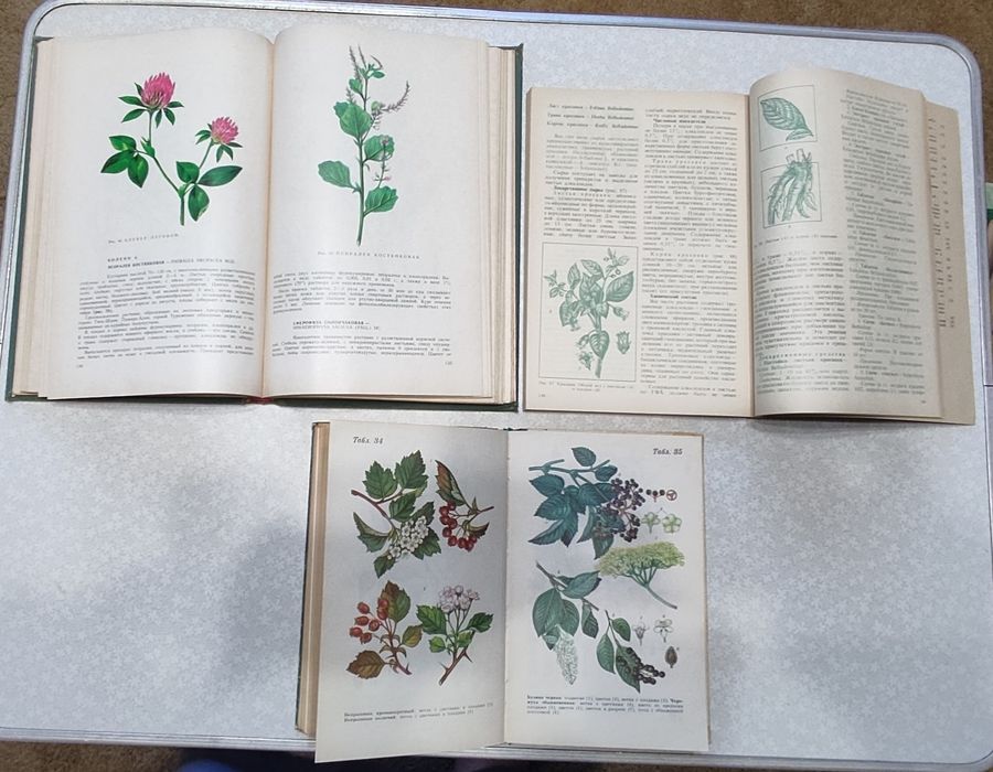 Лекарственные растения и их сырьё, 3 медицинских справочника