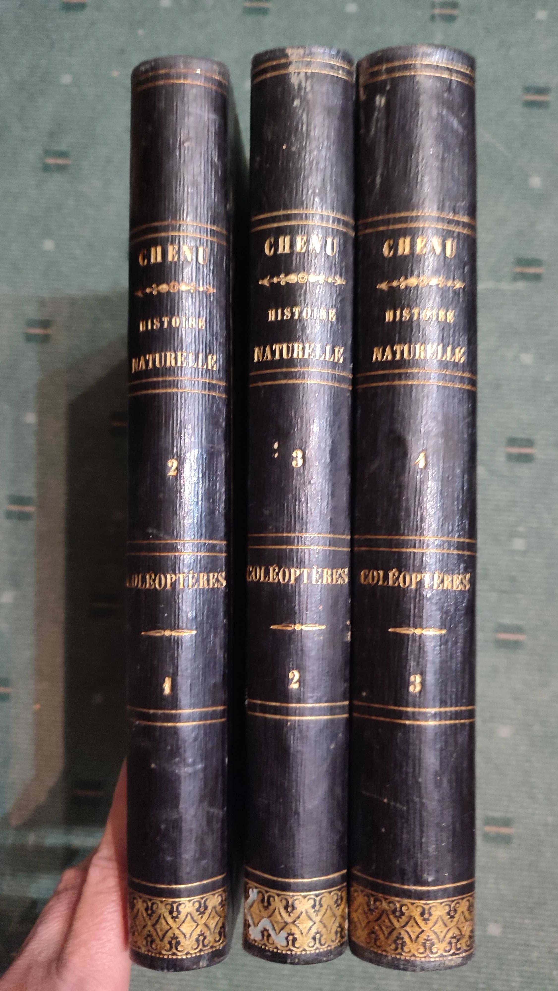Encyclopédie D'Histoire Naturelle Traité Complet -Coléopteres - 3 Vol