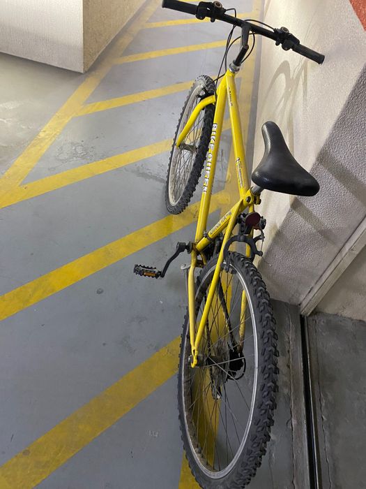 Bicicleta adulto