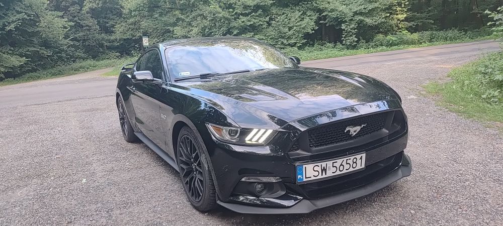 Ford mustang 5.0gt Performance