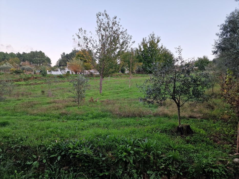 Terreno rústico com 1790m²