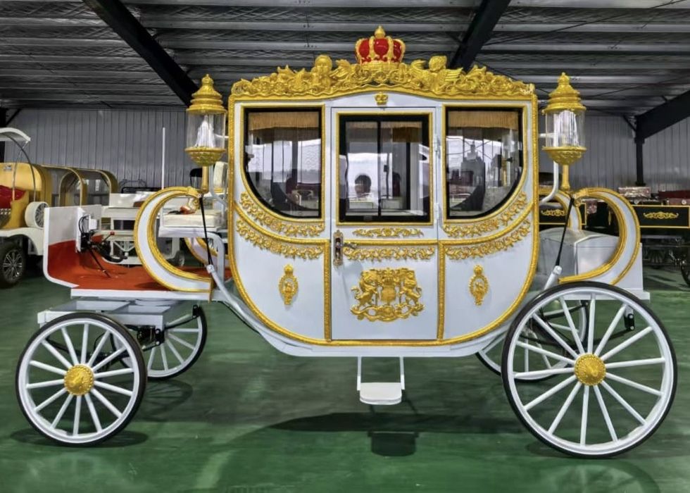 Coche Real Eletrico