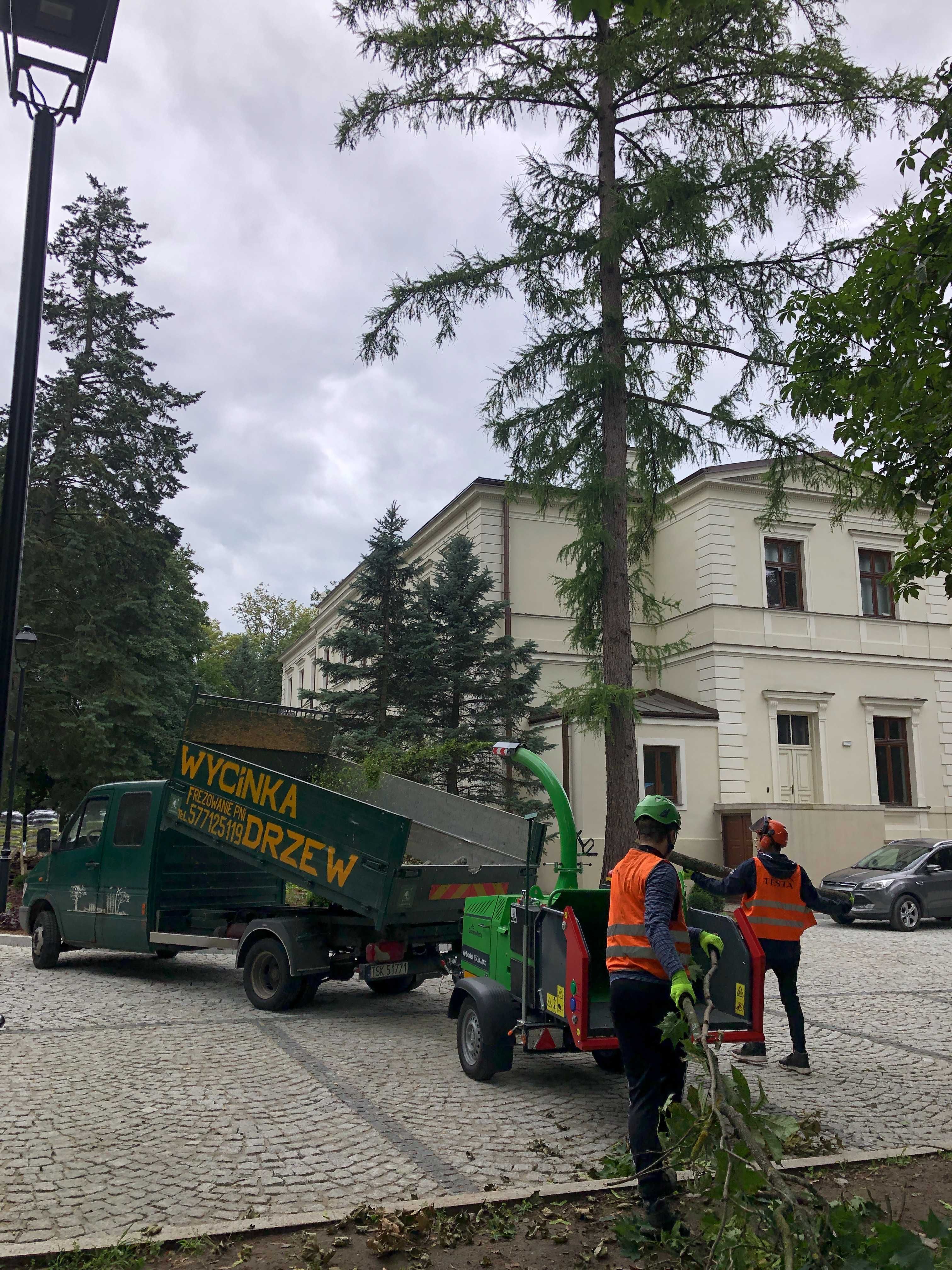 WYCINKA drzew RĘBAK do gałęzi CIĘCIE krzewów frezowanie PNI