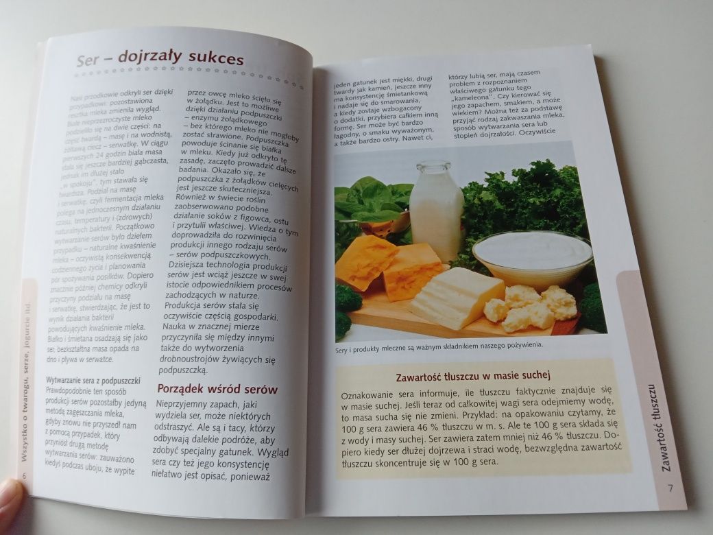 Jogurt, mleko i twarożek - nowe pomysły, wyśmienite przepisy