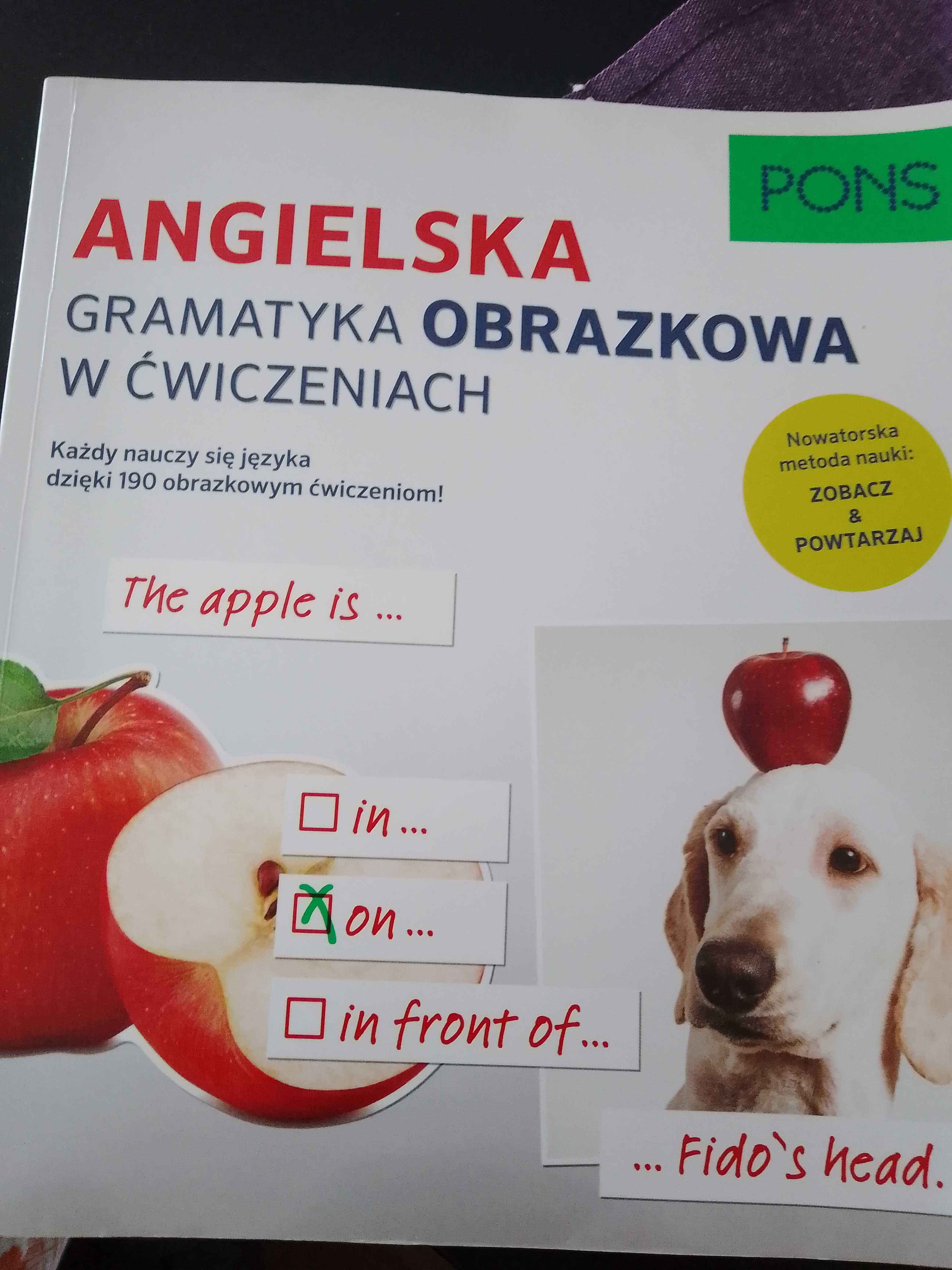 Angielska gramatyka obrazkowa w ćwiczeniach