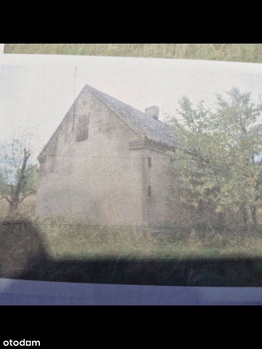 syndyk sprzeda udział w prawie własności, Mysliborskie Holendry