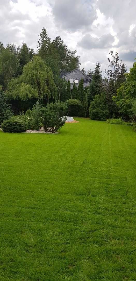 ① Pielęgnacja ogrodów, Ogrody, Zakładanie trawnika, Koszenie trawy