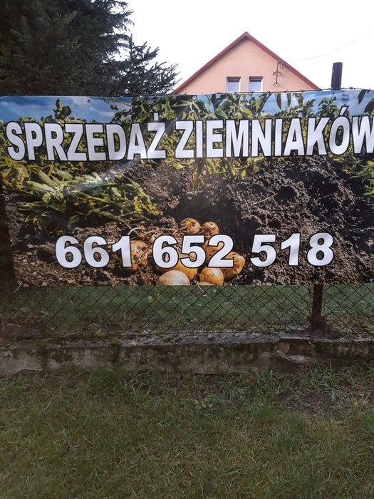 Sprzedam ziemniaki paszowe