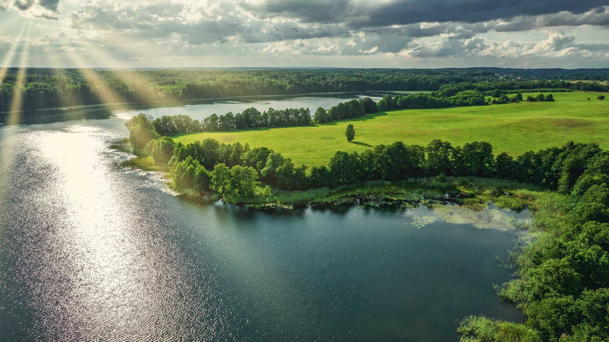 Mazury  - domki 4-8 os. jezioro, plaża, łowisko, las