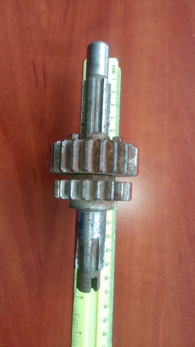 муравей инвалидка  кпп