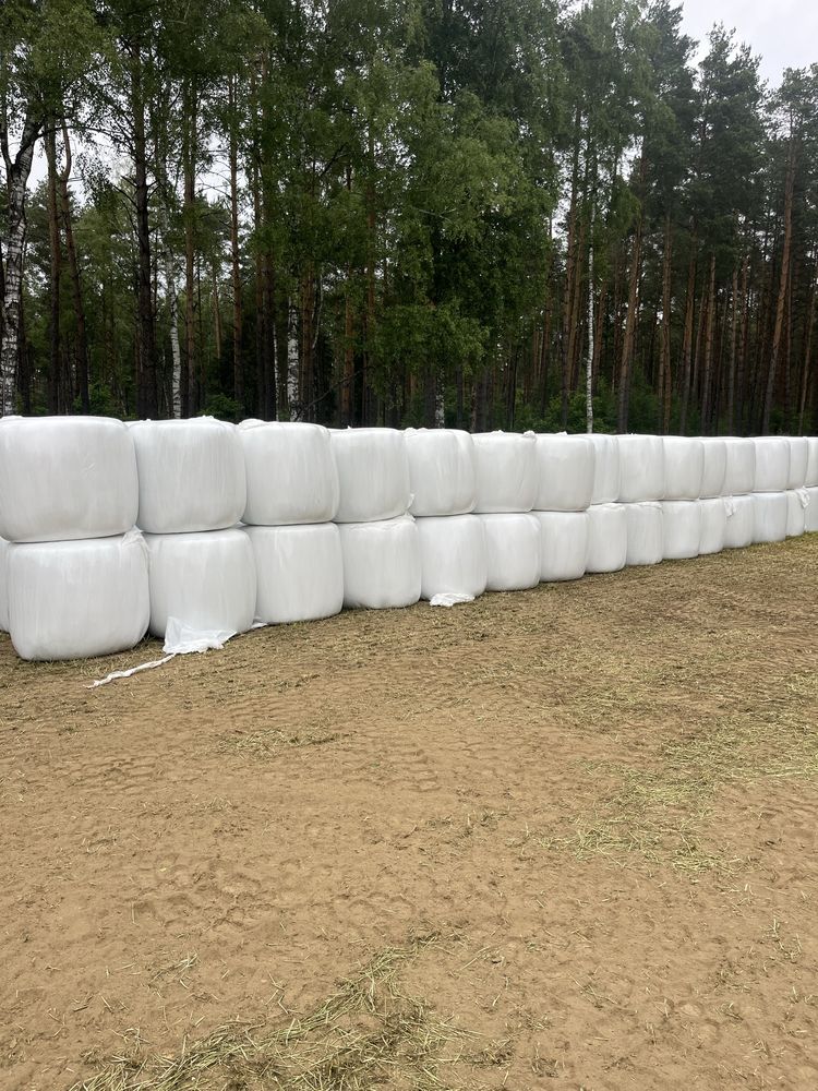 Sianokiszonka z młodych traw