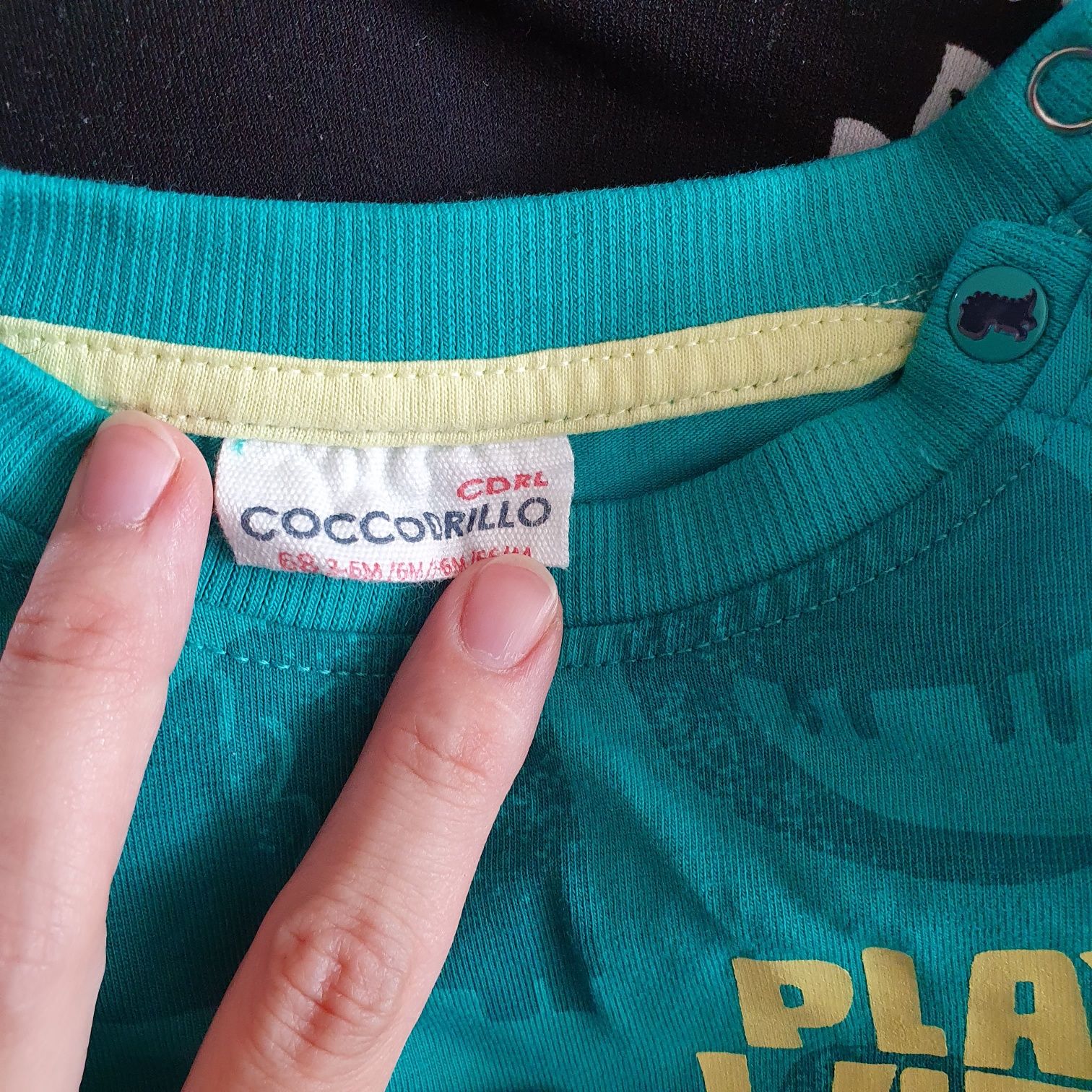 Bluza coccodrillo rozmiar 68, 3-6 miesiecy