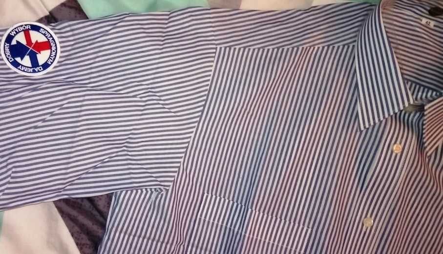 Męska Koszula na co dzień w paski 42 XL klasyczny prosty krój Regular
