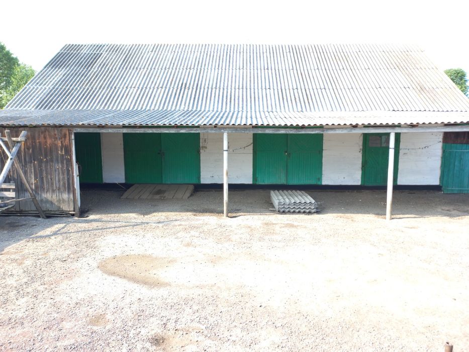 Великий будинок в смт. Соснове