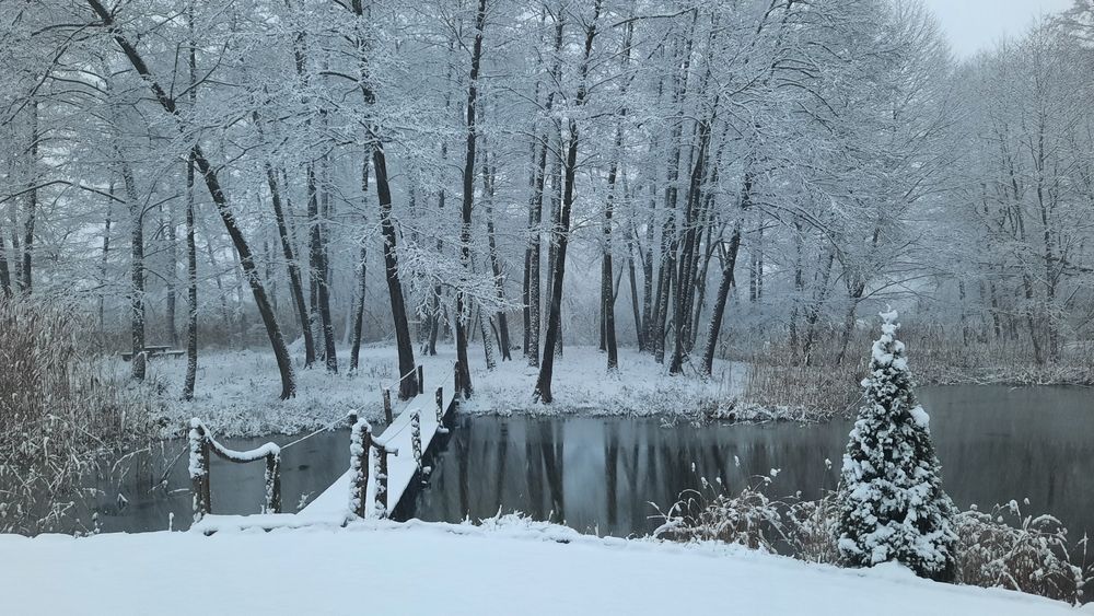 Проживание Полтава,  дом п. Вороніна вул.Горіхова 4
