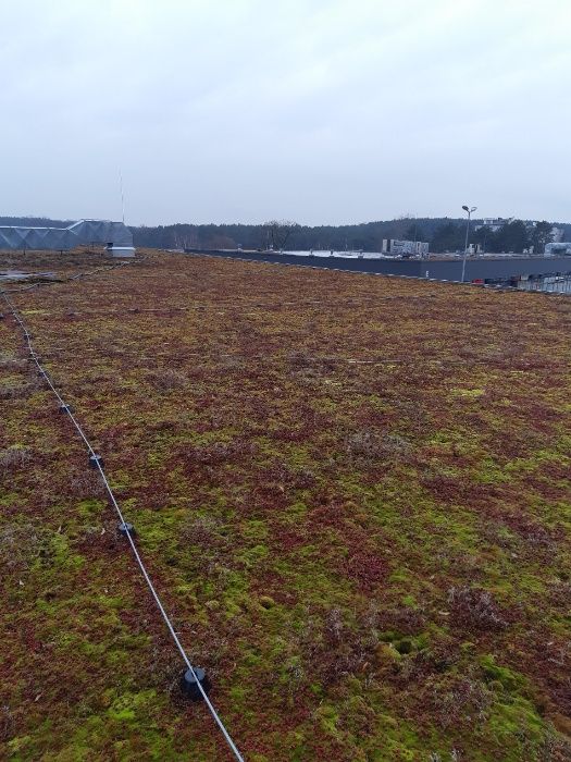 dach płaski  membrana papa stropodach hydroizolacja taras balkon