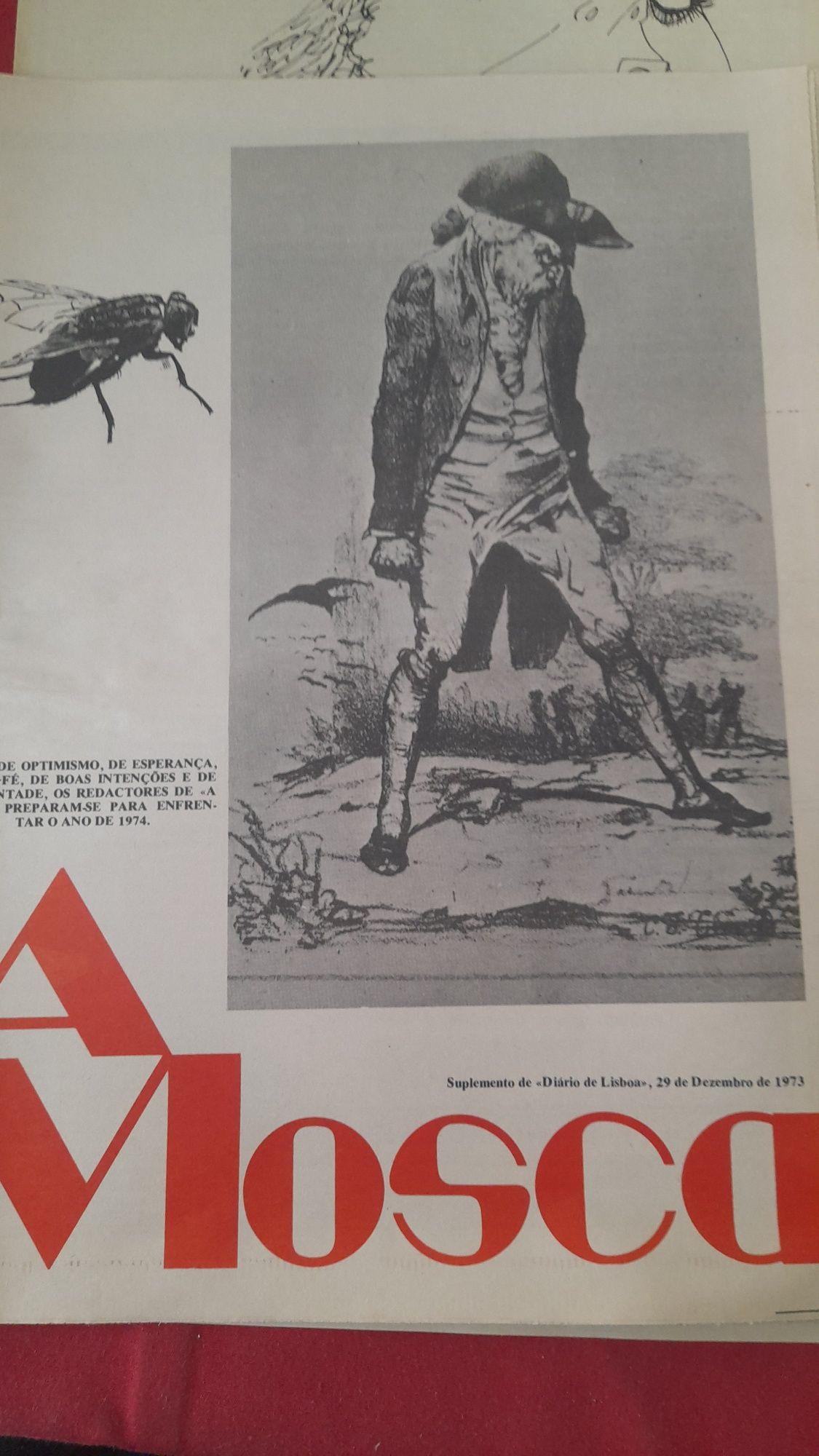 Jornais Antigos A Mosca ( Suplemento D.L.)