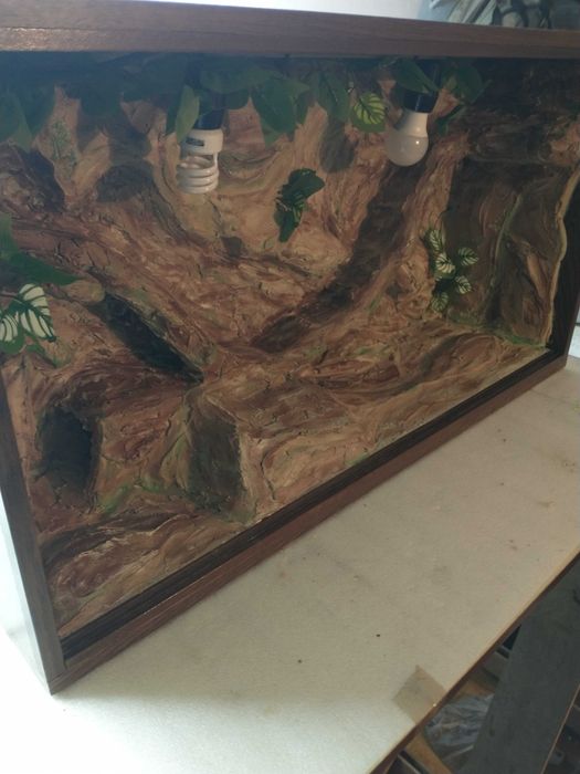 Terrarium zestaw 100x54x30