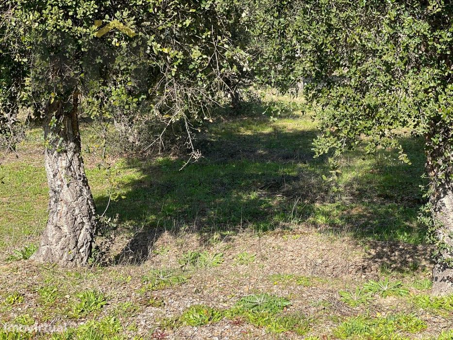 Terreno Rústico  Venda em Ladoeiro,Idanha-a-Nova