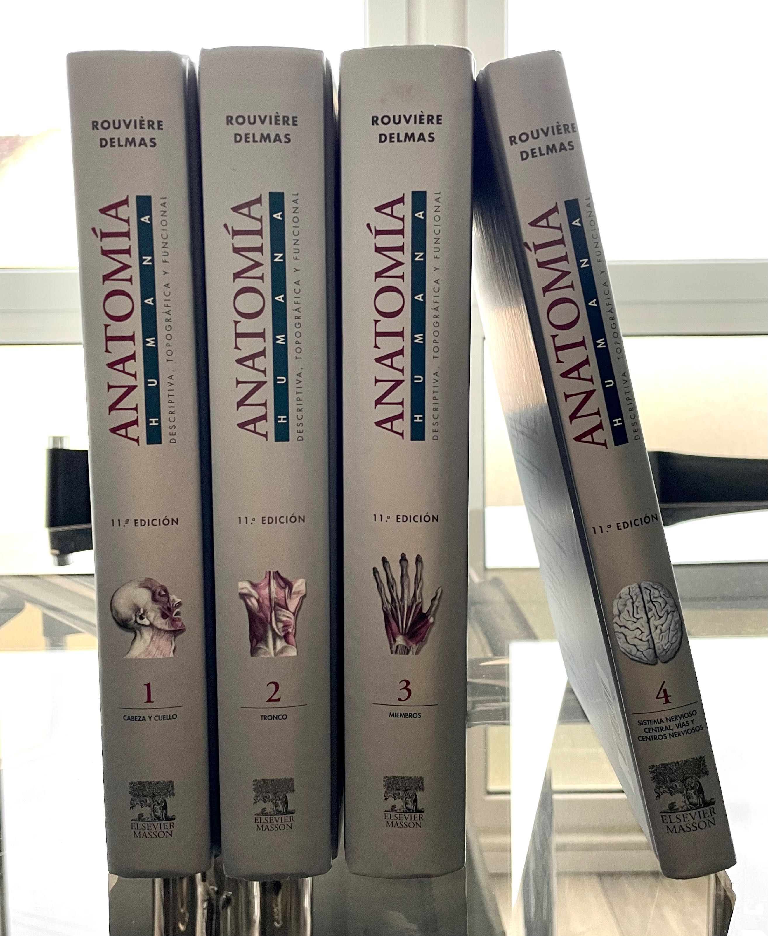 PACK: Anatomía Humana 1-4 | 11ª Edição - Rouvière