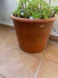 Vasos para Jardim