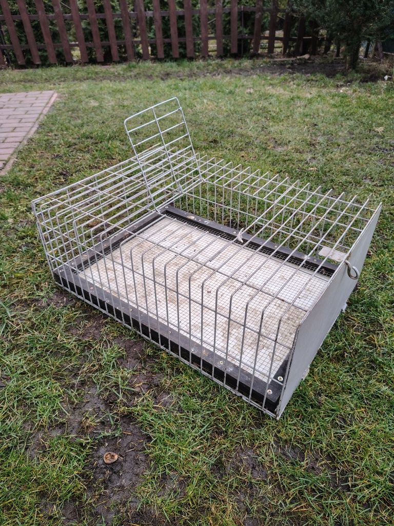 Kabina do lotowania gołębi